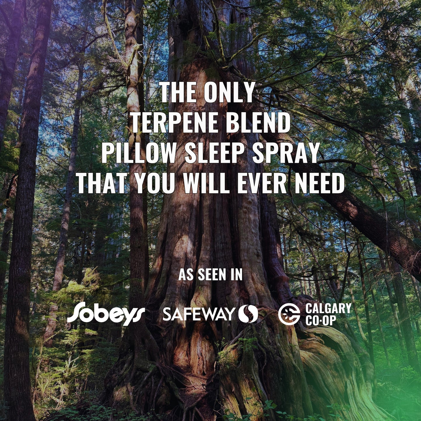 SERENE FOREST BEDTIME SPRAY